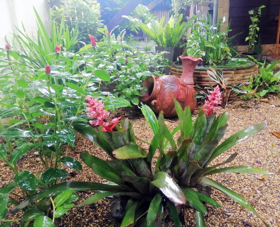 Homestay Chiangrai Chiang Rai Ngoại thất bức ảnh